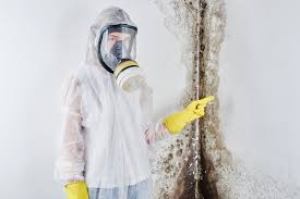 Best Biohazard Mold Removal  in Piney Green, NC